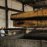 OEM Natural Primavera Wood Veneer Flat Cut Crown Cut For Panels And Furniture 0