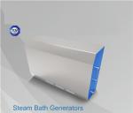 High Power Commercial Steam Room Equipment Electric Heating Type Waterproof IPX6