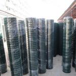 Pvc Coated 9 Gauge Hot Dipped Galvanized Diamond Chain Link Fence
