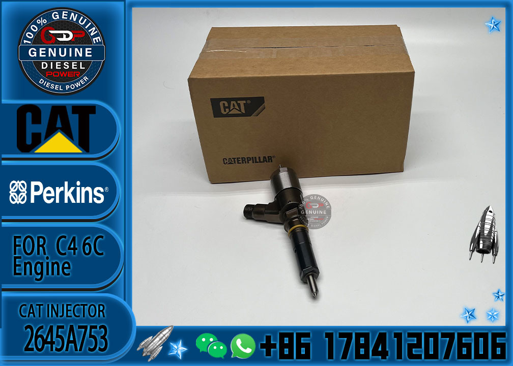 diesel injector 2645A753 common rail injector 321-3600 for Caterpillar engine C6.6 for Caterpillar C6.6 953D D6K D6K LGP