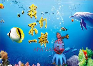 Wholesale Casino Money Maker Dragon Fish Games Fish Hunter Casino With IGS Board from china suppliers