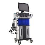 Professional 12 in 1 Hydra Master Facial Care Skin Polishing hydro dermabrasion