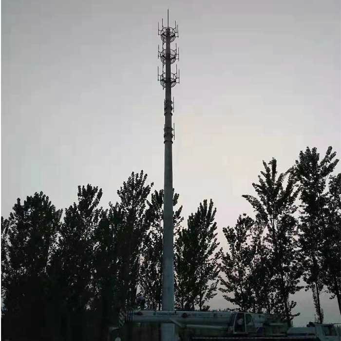 Microwave Communication Camouflage Monopole Tower Broadcasting / 4g / Cell Phone Signal