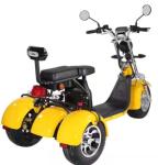 1000W 3 Wheel Harley Electric Scooter Bike Off Road Citycoco Fat Tire Old People