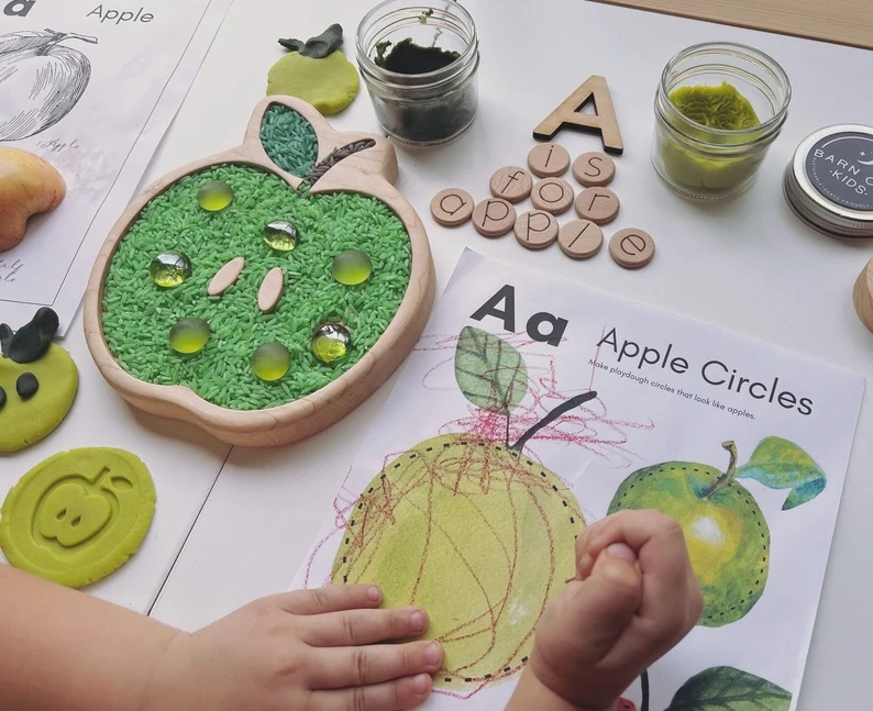Wood Tinker Sensory Sorting Tray Homeschool Lesson Play Board Plate Spring Toy Montessori Seed Nature Fruit Lifecycle