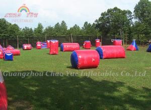 Wholesale Multi Player Inflatable Purple Paintball/ Paintball with Brand Logo from china suppliers