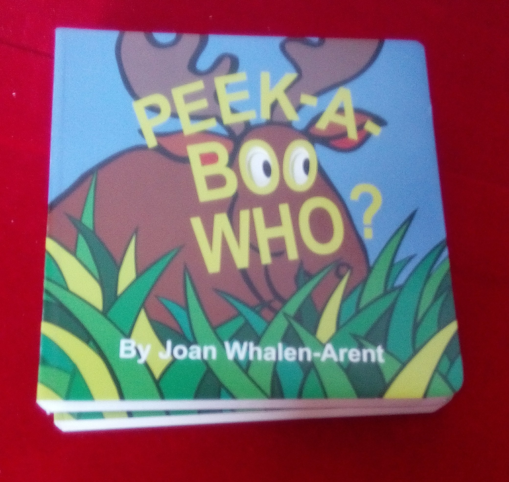 Colourful Personalized Picture Kids Board Books Custom Paper Weight