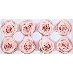 Pliability Maintaining Preserved Rose Heads Excellent Flowers Eternity