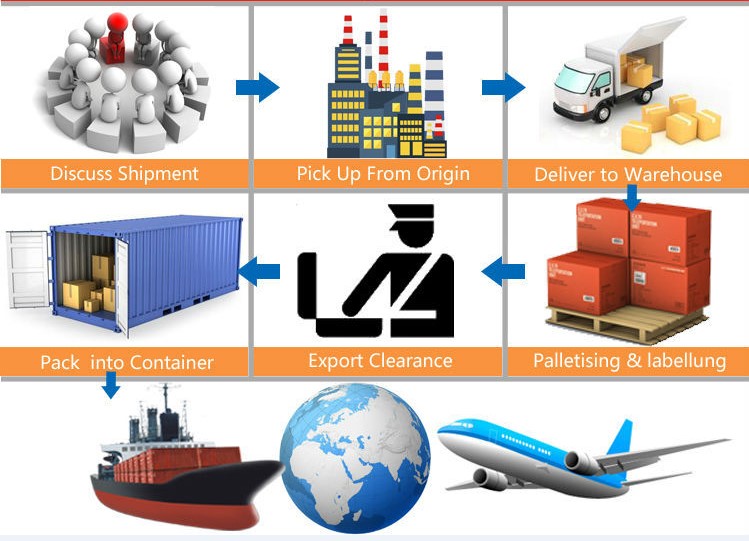 Special Service Sea Freight Logistics To Mexico With Collect Service