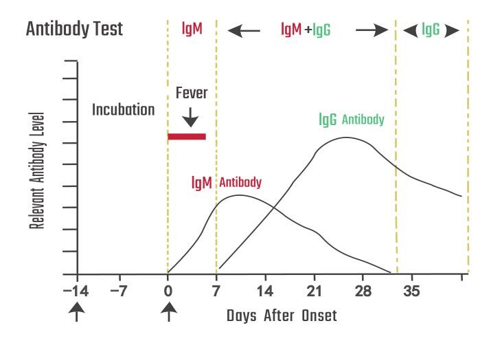 High Accuracy 15 Minutes Covid 19 Test Kits