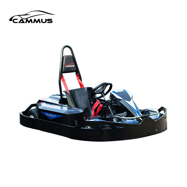 Professional Single Motor Performance Go Kart 80km/H 4 Wheel Drive