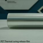 PET Thermal Curing Release Film Waterproofing Application Film