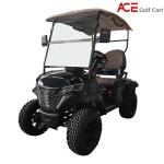 Steel Frame 2 Seater Golf Cart 80km Range Electric Vehicle With 14inch Tires