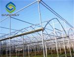 Hot Galvanized Steel 8m Polyethylene Film Greenhouse