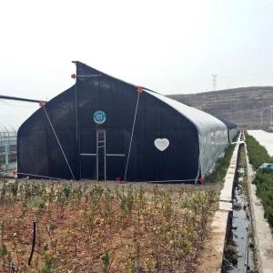 Wholesale 10m double framework mushroom greenhouse with black shade net and shelves outdoor from china suppliers
