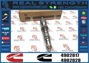 Wholesale Injector Nozzle Assembly 4902817 QSK19 QSK23 QSK60 Engine Series from china suppliers