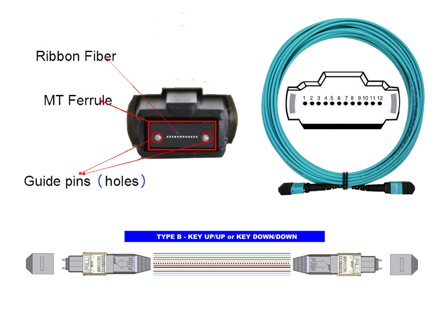 OM3 Fiber Optical Patch Cord MTP-MTP OM4 12 Cable Adapter 40G 300M