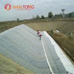 30m Normal Length Black Geosynthetic Clay Liner Ideal for Landfill Waterproof
