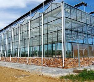 Wholesale 4mm patterned Glass for Greenhouse with Competitive Price from china suppliers