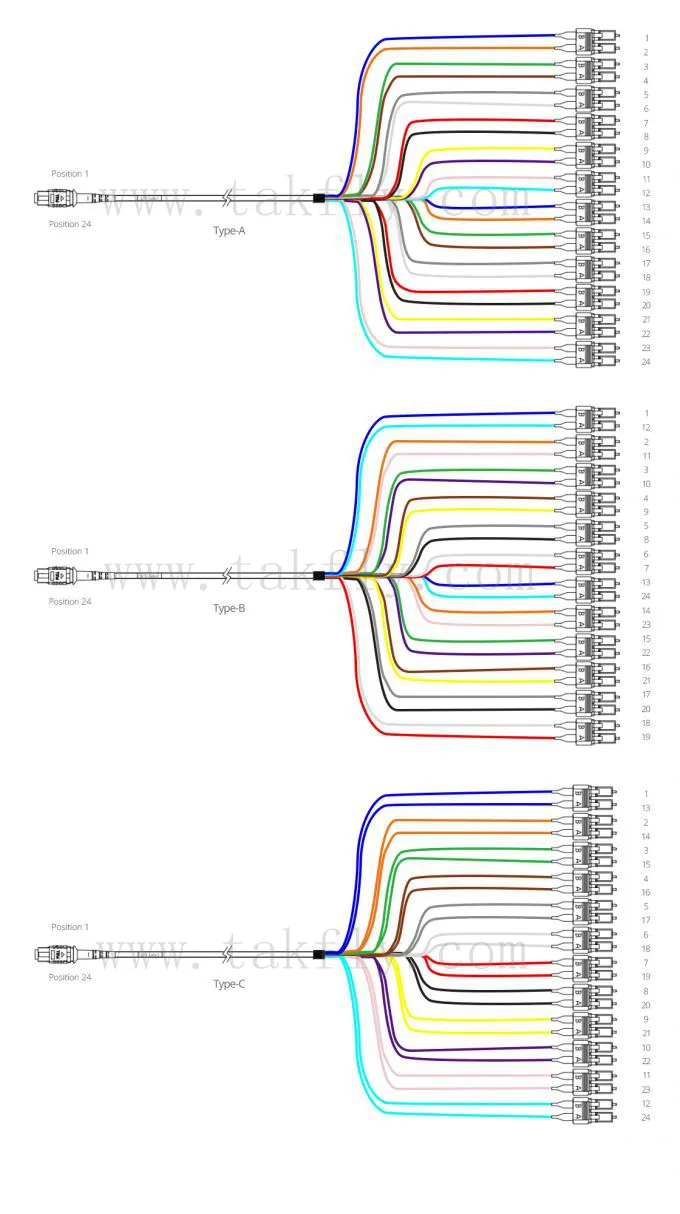 12 Core Singlemode MPO to LC Patchcord