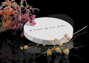 Wholesale 50% Transmission 750MPa Porcelain Dental Zirconia Blank from china suppliers