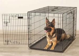 Wholesale Galvanized / PVC Coating Welded Industrial Wire Mesh Containers For Animal Cage from china suppliers