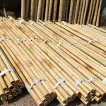 Natural Garden Bamboo Sticks For Indoor Outdoor Tomatoes Potted Plants Support
