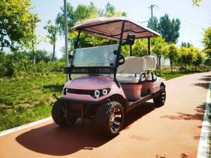 Wholesale Pink 4kw High Power Electric Golf Cart Off-Road Tire McPherson Independent Suspension from china suppliers