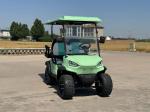 Bx 2 2 Seat Sightseeing Bus Club Cart Custom Electric Golf Buggy Hunting Cart