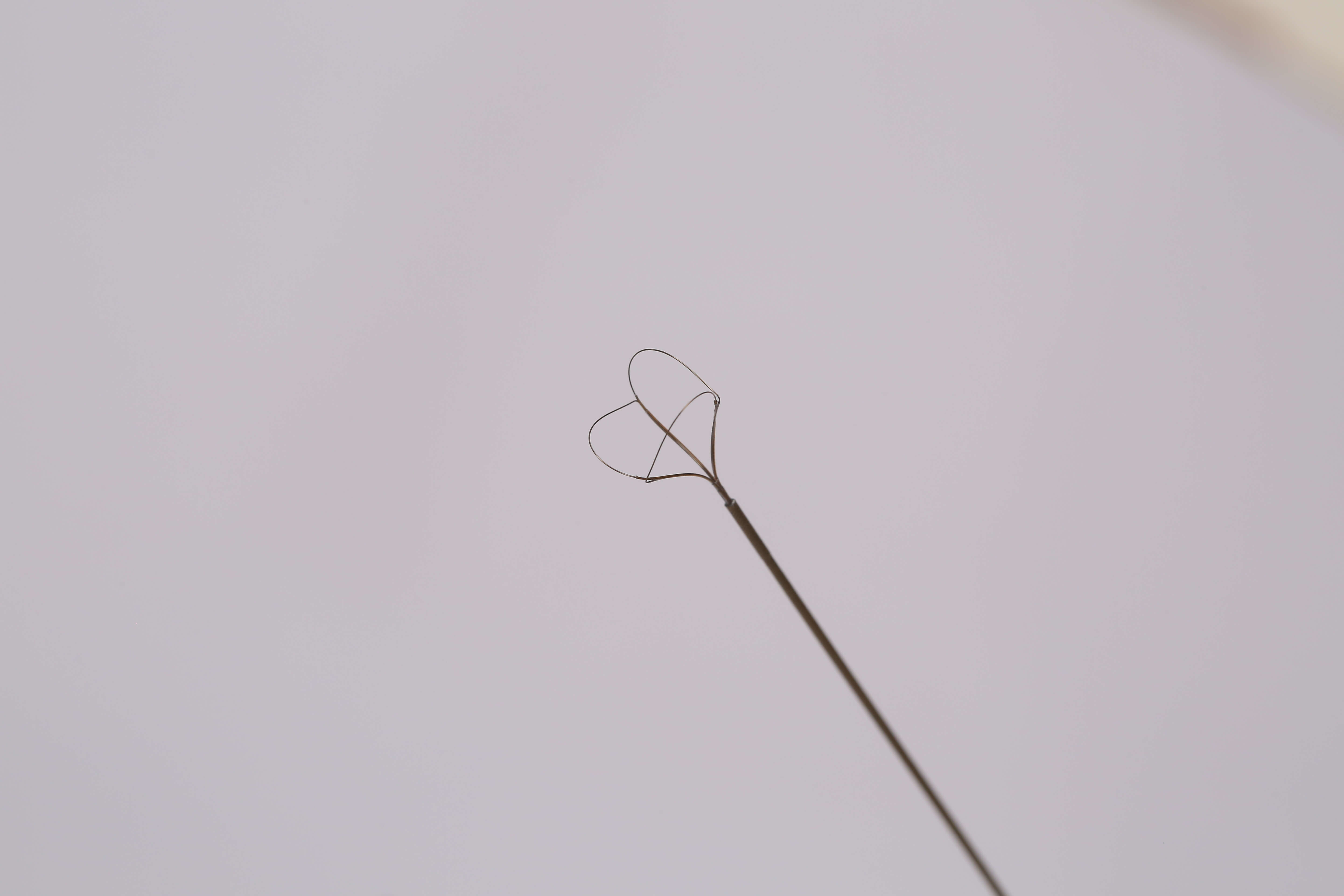 F1.7 F2.2 Nitinol Stone Retrieval Basket Tipless Ureteroscopy With CE