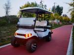 Blue Four-Seat Electric Utility Golf Cart Off-Road Tires 4kw High-Endurance