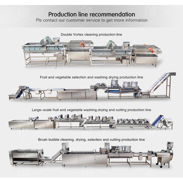 250KG The manufacturer provides a reversible air dryer for fruit ozone disinfection and fruit washing machine