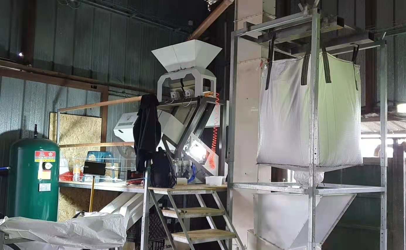 CHina Factory Wholesale Mini Red Beans Color Sorter Machine 1 Ton Per Day