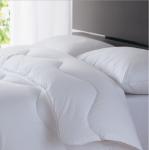 Supply Goose down and duck down King, Queen size Down Quilts, Duvets