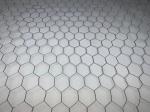 30mm Plaster Welded Galvanised Steel Chicken Wire 0.7mm Diameter