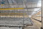 Agricultural Clear Plastic Greenhouse UV Resistant PE Film Greenhouse For Farms