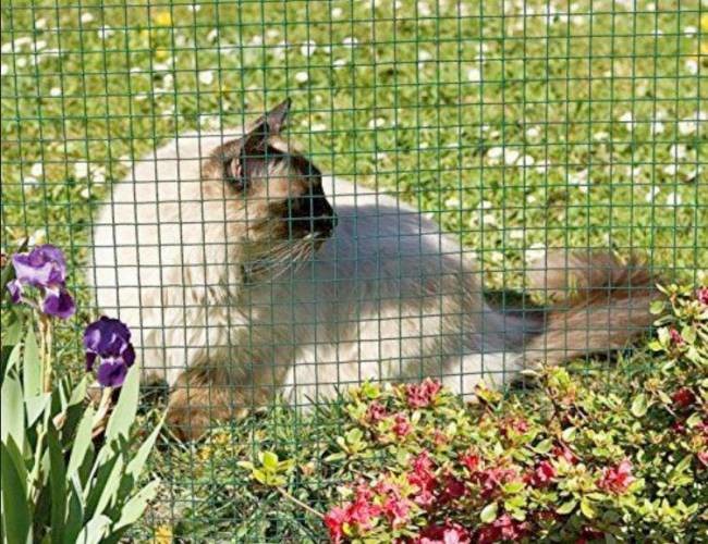 4ft X 50ft PVC Coated Welded Mesh Rolls For Garden Guard Barrier