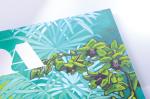 Paperback Coloring Book Printing Services Short Run Hardcover 128pages