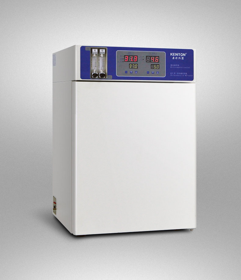 Stainless Steel Inner Cell Culture Incubator Lab Tissue Culture Incubator 160L