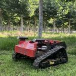 Weed Remover Agricultural Lawn Mower TUV Walk Behind Mower 550mm