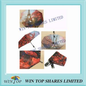 Wholesale Rotary Paper Transfer Printing Landscape Umbrella from china suppliers