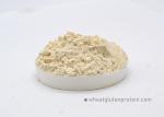 Bread Hamburgers 25Kg/Bag Wheat Gluten Protein Powder