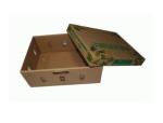 Eco - Friendly Vegetables Packing Boxes , Plain Cardboard Boxes For Food