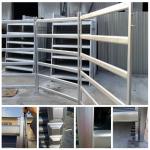 1800mm x 2100mm cattle panels oval pipes 30mm x 60mm ,40mm x 80mm