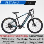 750W 500 Watt Electric Bike Electric Mountain Bike With Rainproof Ebike LCD