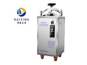 Wholesale 50L 0.23 Mpa Vertical Autoclave Sterilizer Safety Valve from china suppliers