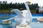 Commercial Fiberglass Water Pool Slides with Interesting Cartoon Shaped