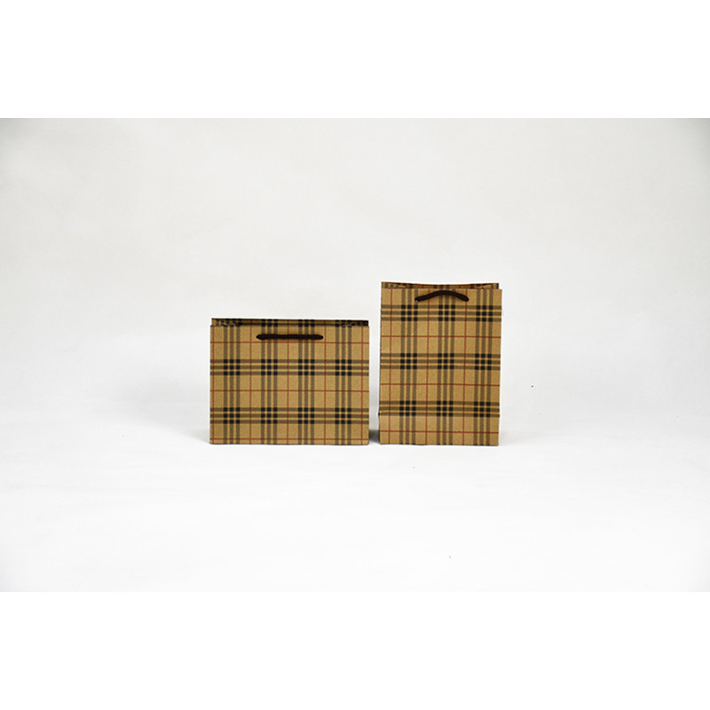 5Kg Weight Capacity Kraft Shopping Paper Bags Eco Friendly Packaging Recycled