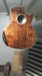 AAAA handmade all Solid ebony wood single cut guitar 14 frets imported wood