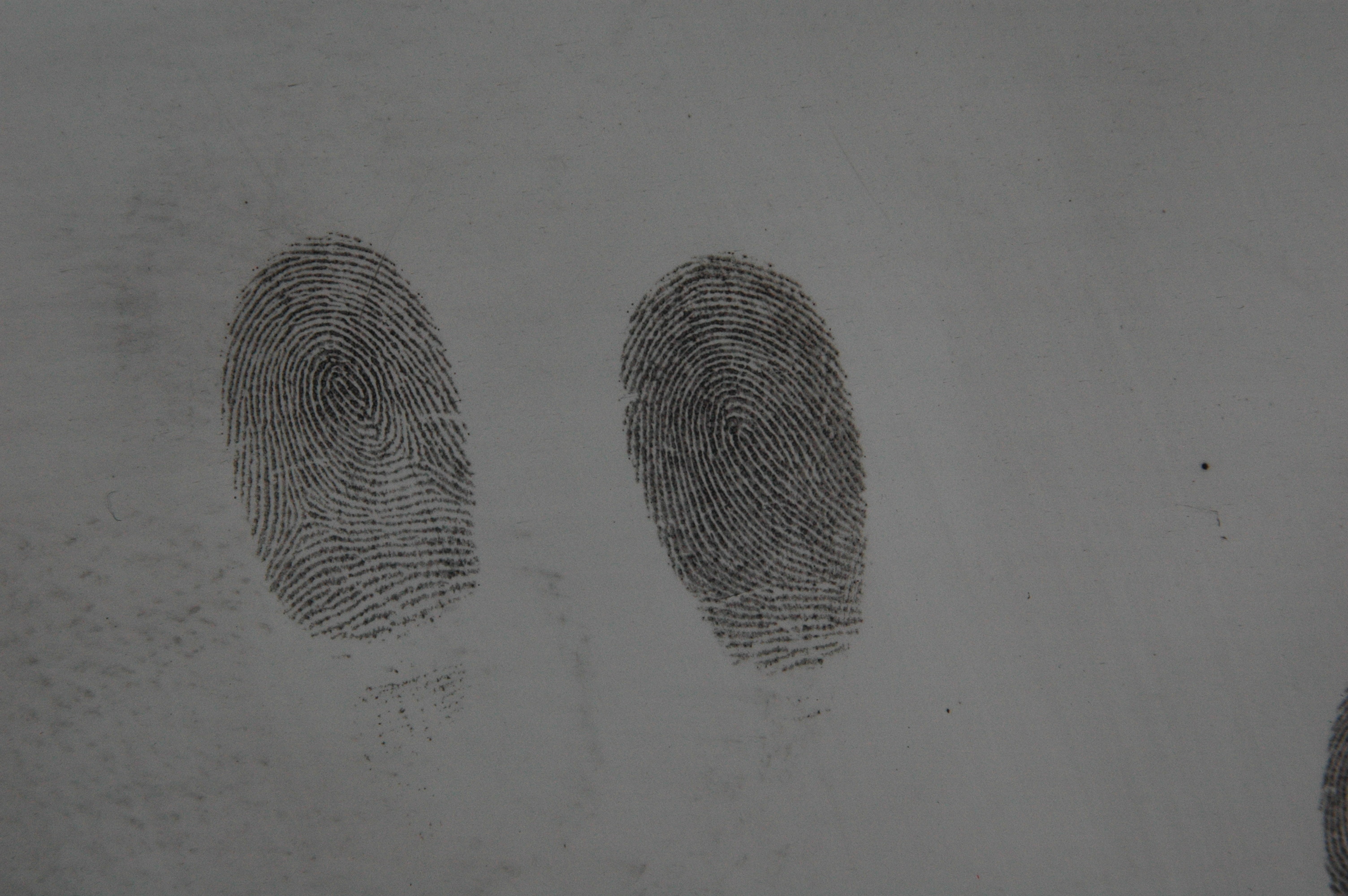 C079 Black fingerprint powder